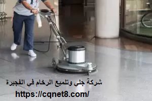 شركة الحريف | شركة مكافحة الوزغ فى الفجيرة |0503134309