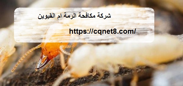 شركة الحريف | شركة جلى و تلميع الرخام ام القيوين |0503134309| تلميع وجلى