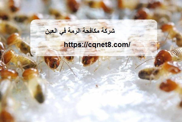 شركة الحريف | شركة مكافحة الرمة في العين |0503134309| ابادة تامة شركة الحريف | شركة مكافحة الرمة في العين |0503134309| ابادة تامة