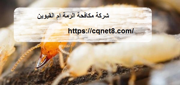 شركة الحريف | شركة مكافحة الرمة ام القيوين |0503134309| مبيدون