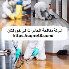 شركة الحريف | شركة مكافحة الوزغ فى الشارقة |0503134309