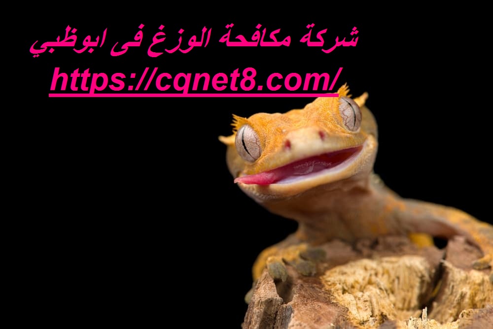 شركة الحريف | شركة مكافحة الوزغ فى ابوظبي |0503134309